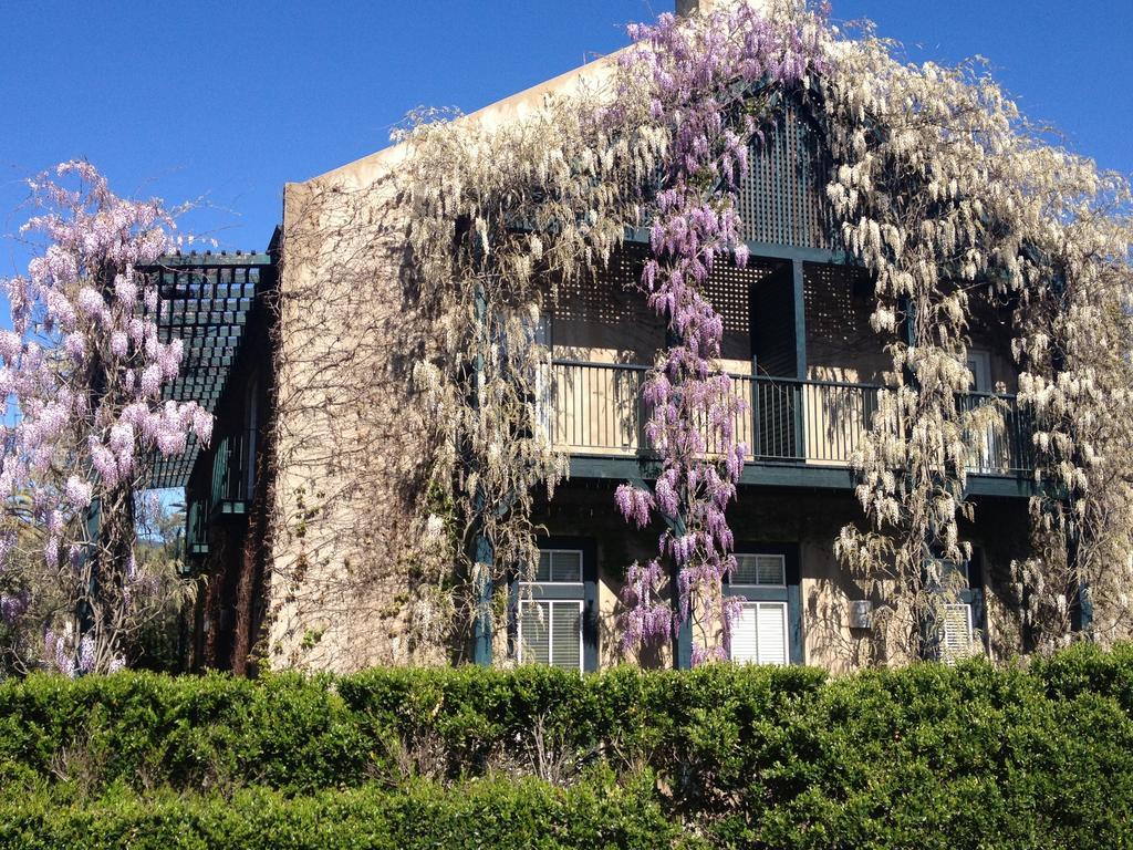 Southbridge Napa Valley St. Helena Exterior foto